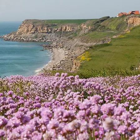 Le Carre D'opale Au Pied Des Remparts
